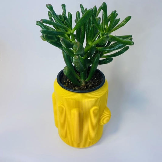 3D Printed Bulbos Vases- Various Colours